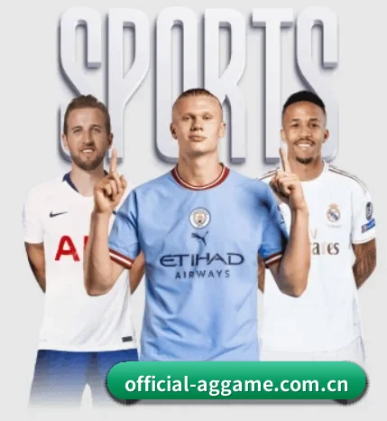 official-aggame.com.cn的方向